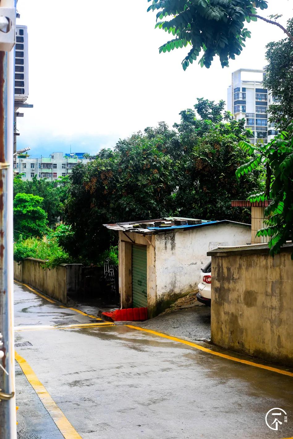为啥珠光村房租便宜,深圳西丽珠光村房租如何