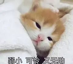 伯纳天纯猫粮是真的吗,伯纳天纯猫粮怎么区分真假