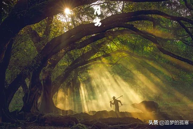 读懂12个时辰就懂得我们这一生,读懂十二时辰就读懂了我们一生