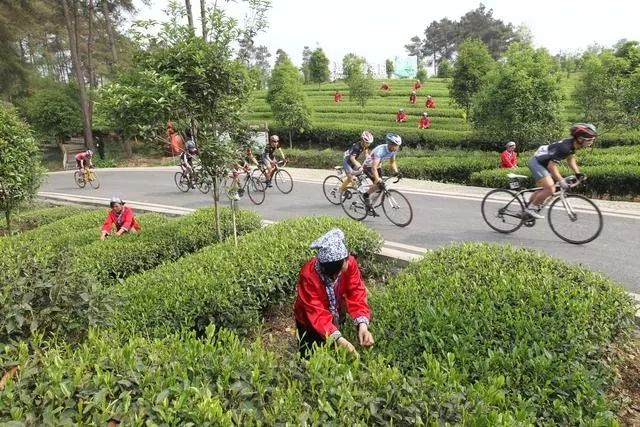 3月底蒲江十大网红打卡地,蒲江旅游十大必去景点