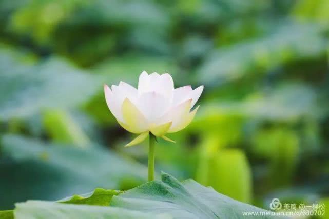 西乡周边景色美的地方,西乡哪里有夜景好看的