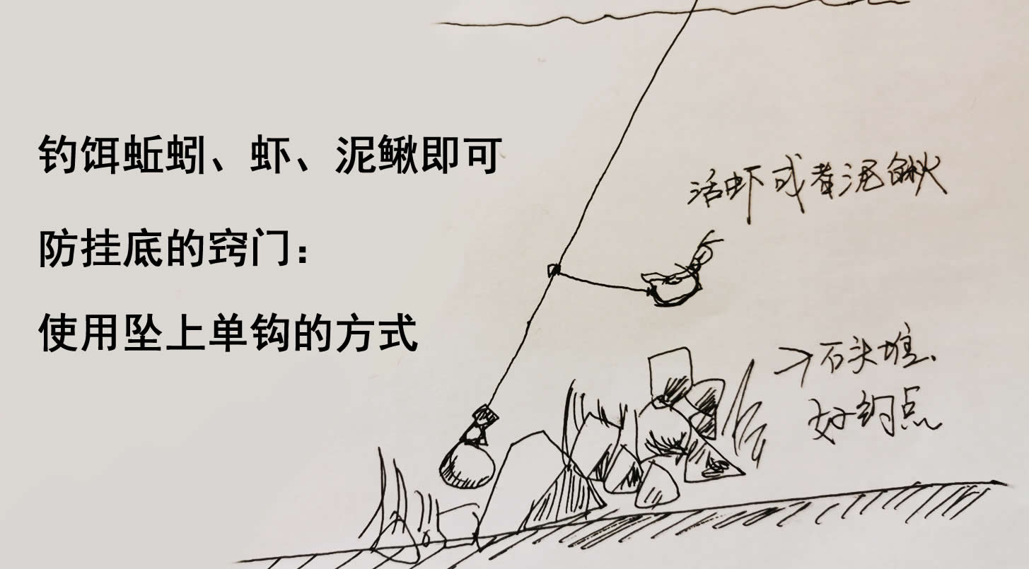 江团合适在什么水面上钓,江团钓技