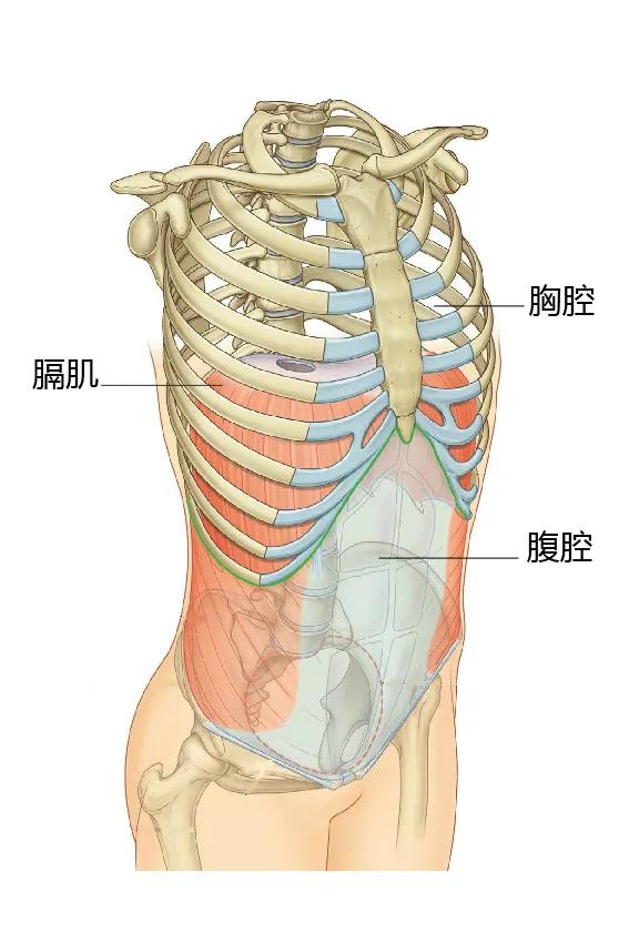 新生儿连续打嗝最有效的办法,新生儿打嗝简单的制止方法