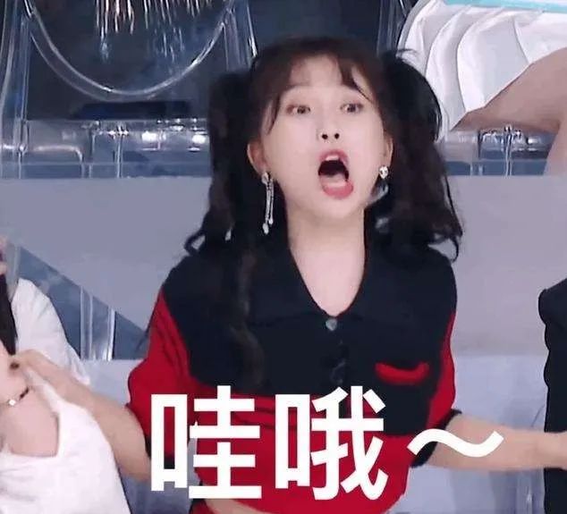 中国偶像海选,中国偶像选秀兴衰