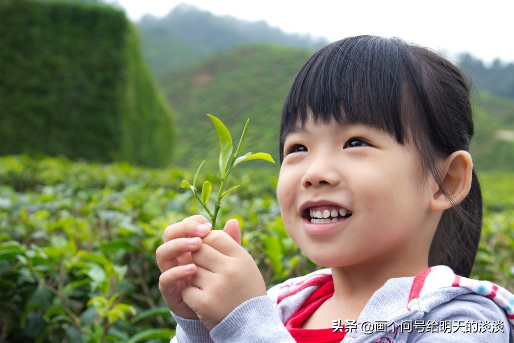 农村赚钱项目有哪些,农村赚钱项目水果