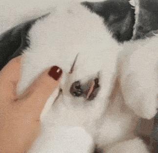 南京熊猫眼门诊,熊猫眼黑眼圈能够看医生吗