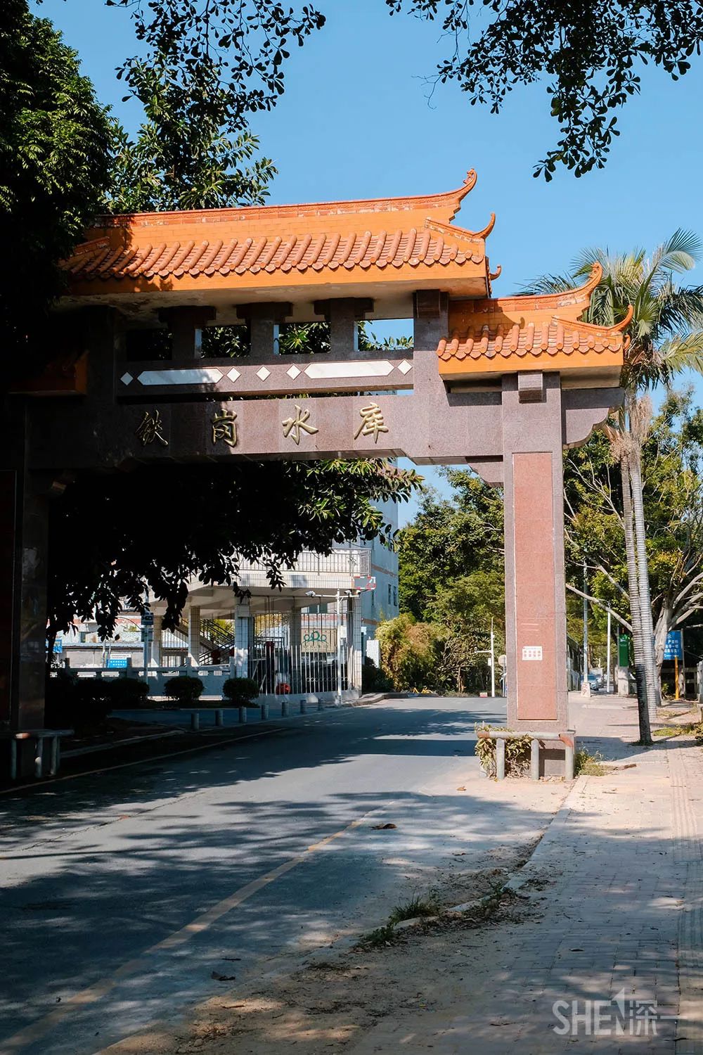 别总去大沙河了！深圳这条极少有人知道的河流，更神秘