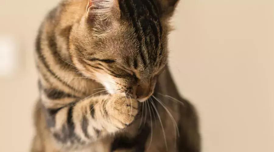 10个护肤小知识让皮肤越来越嫩,十个超实用的护肤变美小技巧