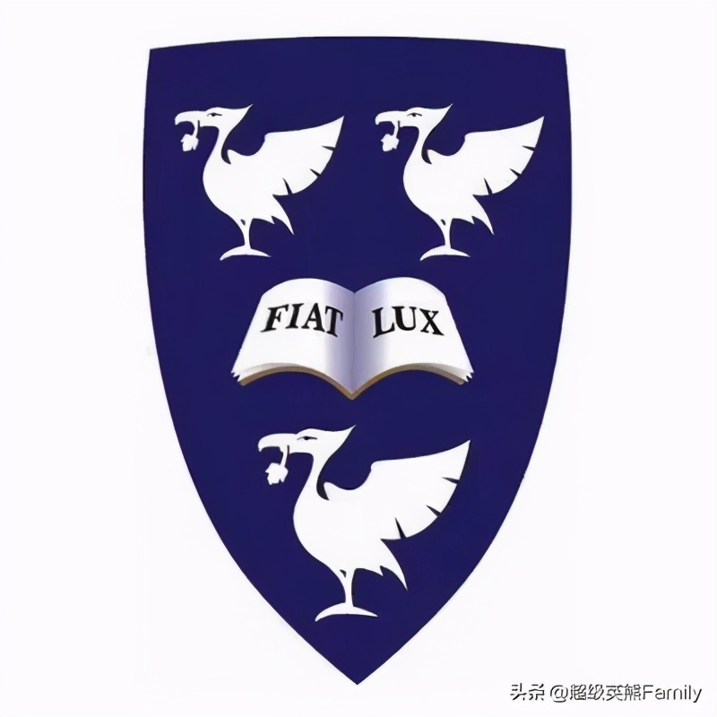 英国金史密斯学校怎么样,英国金史密斯学院纯艺术