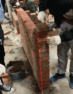 在野外发现甘蔗,在山里发现甘蔗