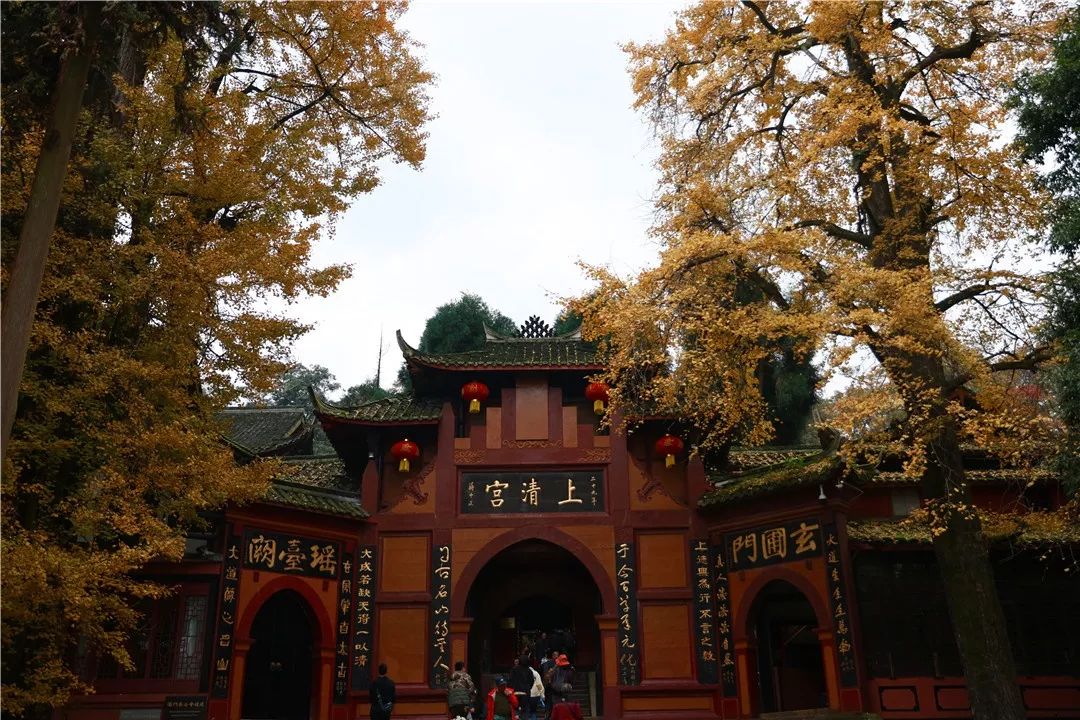 坐上公交去旅行！跟着这条101路线，带你玩遍大半个都江堰～一站一景，吃喝玩乐一网打尽！