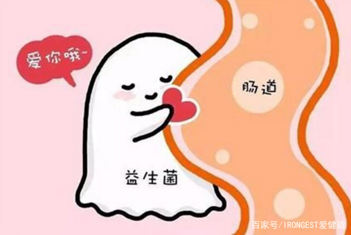 你知道益生菌的好处么,有人知道益生菌能提高免疫力吗
