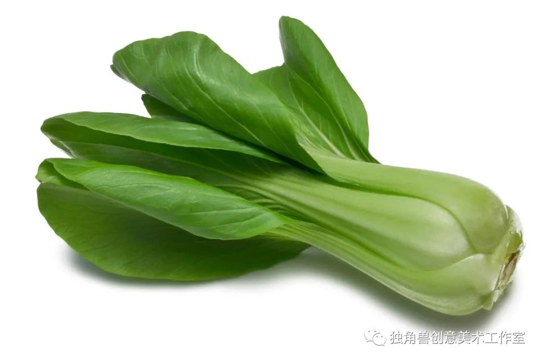 绿油油青菜绘画,蔬菜的绘画教程