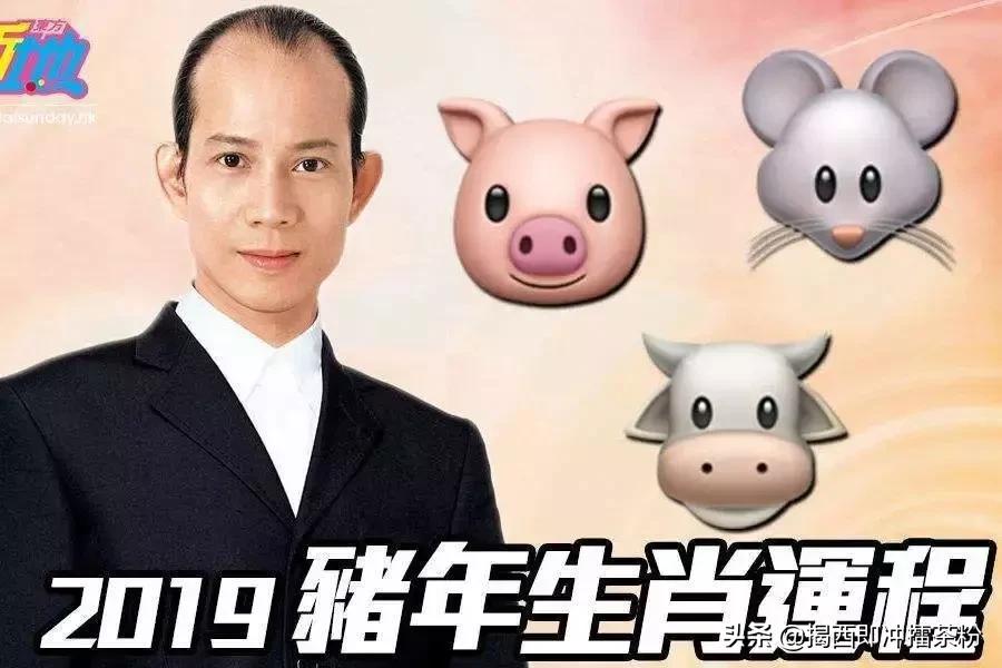 苏民峰2019年生肖运程之鸡,2019年苏民峰流年运程