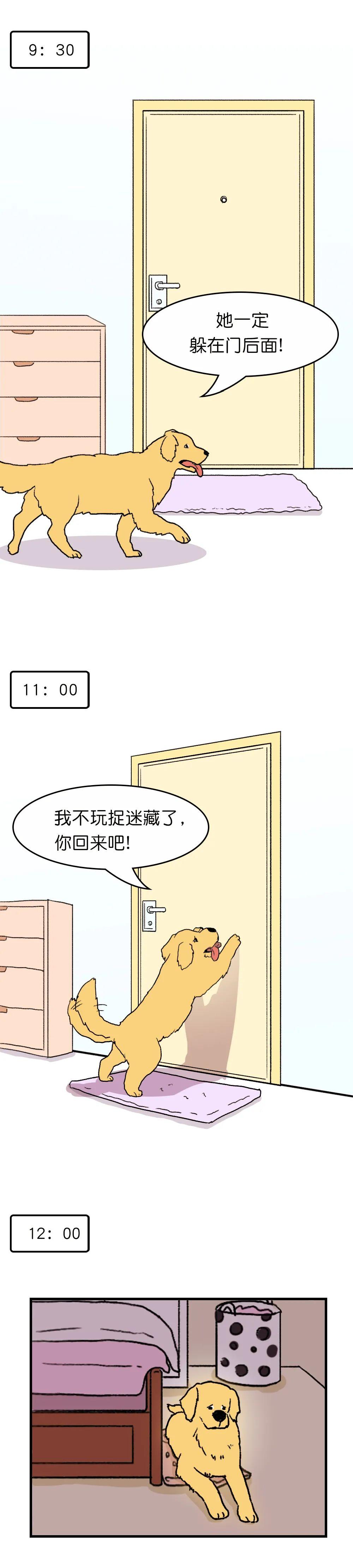 狗子在家来回踱步是什么原因,狗子为什么会很喜欢躲床底下睡觉