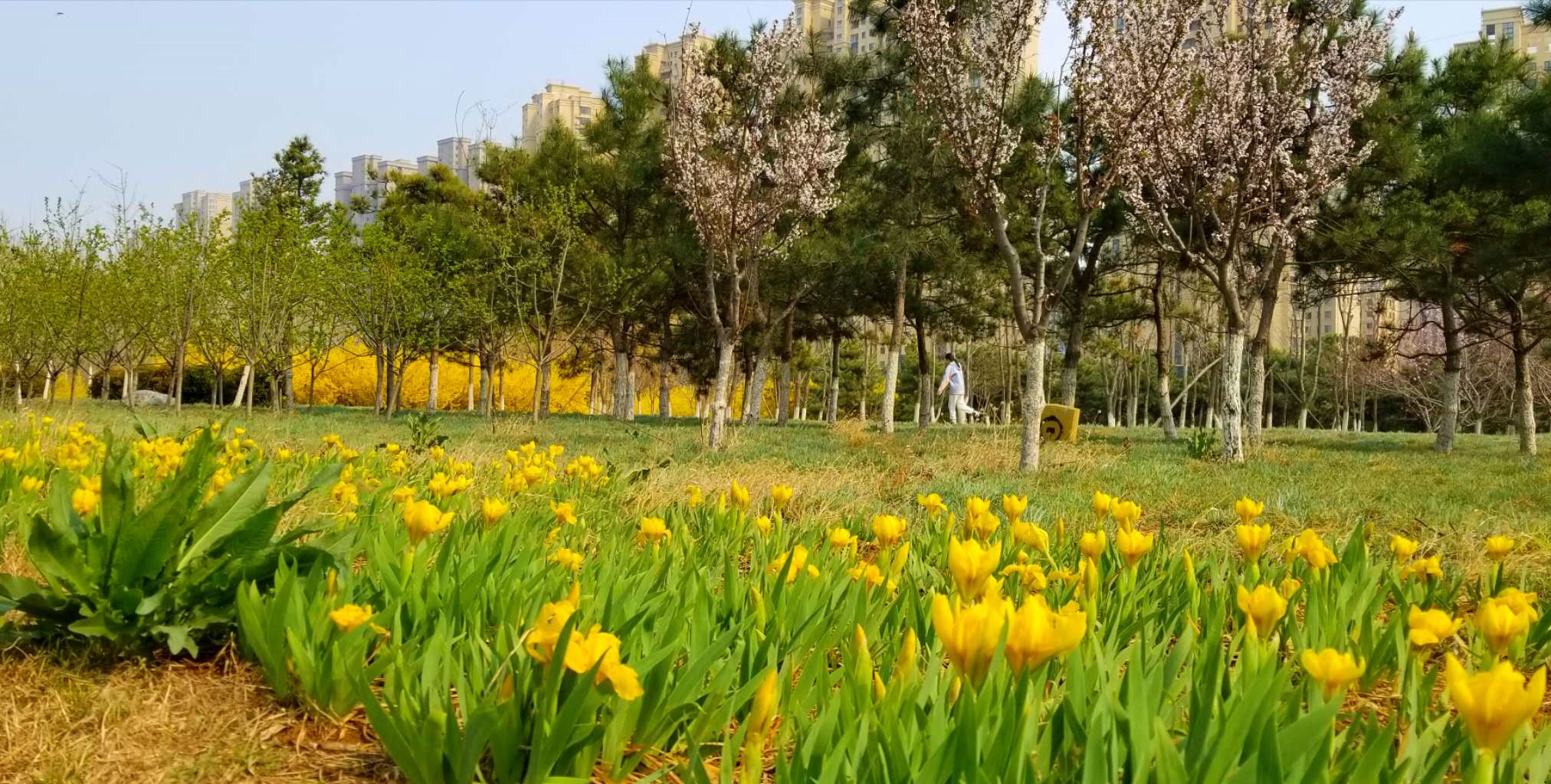 景美人少公园,景美人少合适去哪里旅游