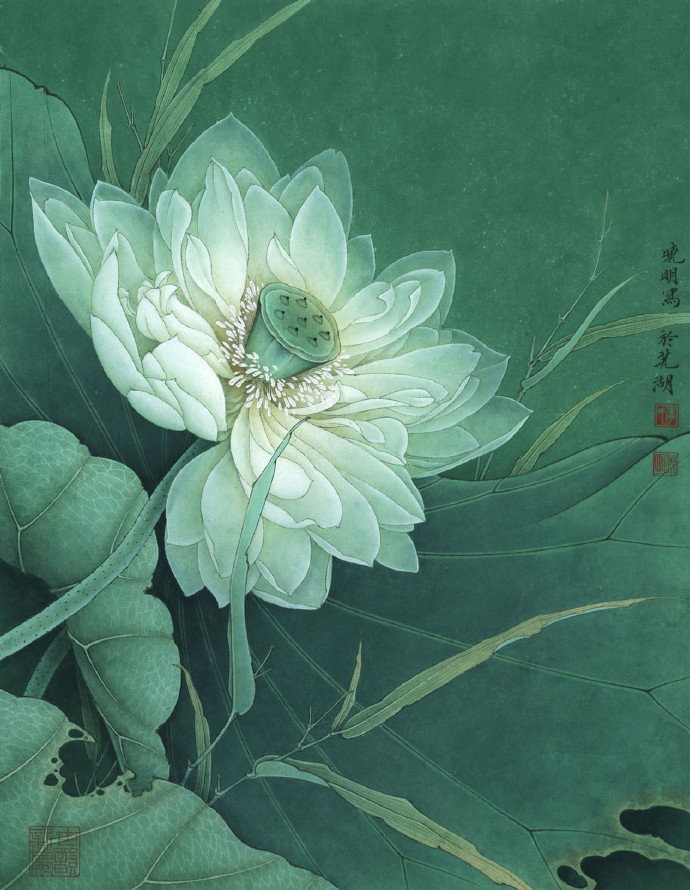 画荷花出淤泥而不染濯清涟而不妖,荷花出淤泥而不染濯清涟而不妖