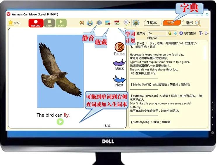 读raz每天大概用多长时间,7种读raz的方法