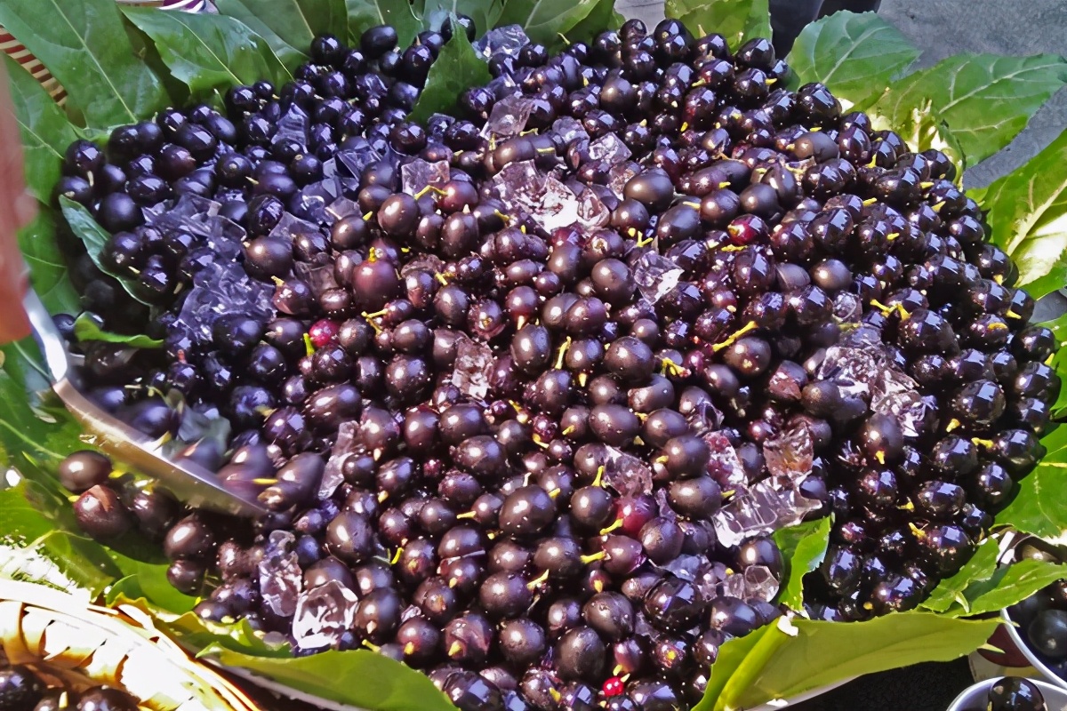 十大造假水果排行,三种造假水果都不能买