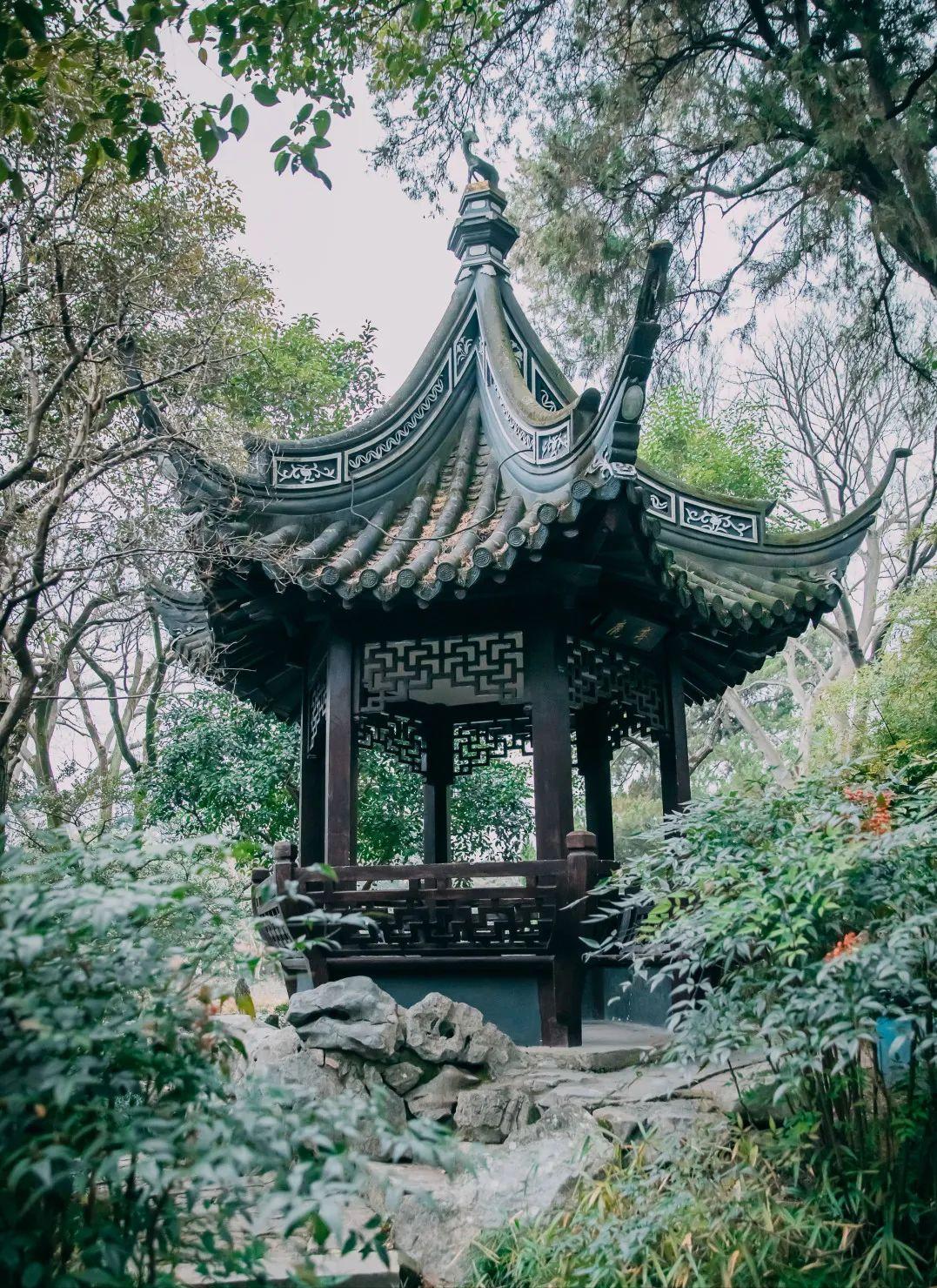 上海旅游攻略景区免费,上海免费旅游必去的地方