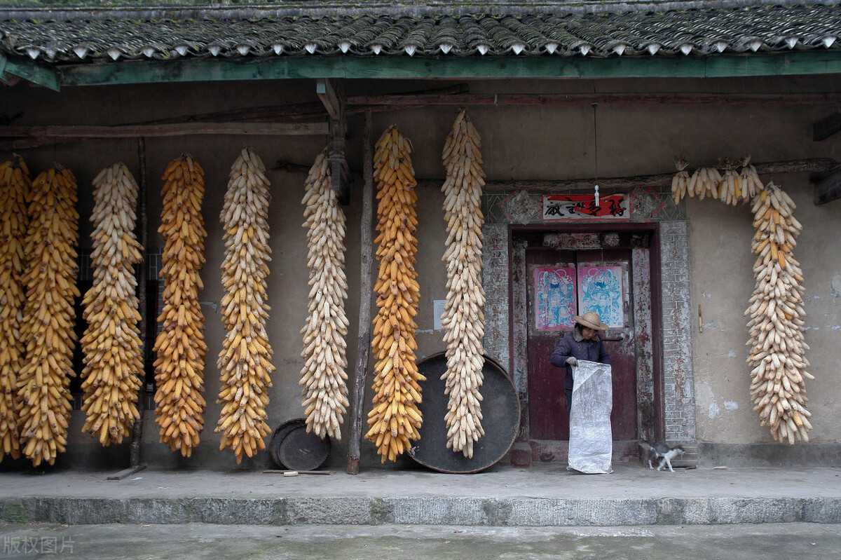 西安秦岭出租乡村小院,秦岭租个小院