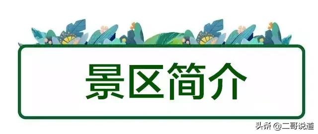 洛阳隐藏的好玩的地方,洛阳周边城市的山水景点