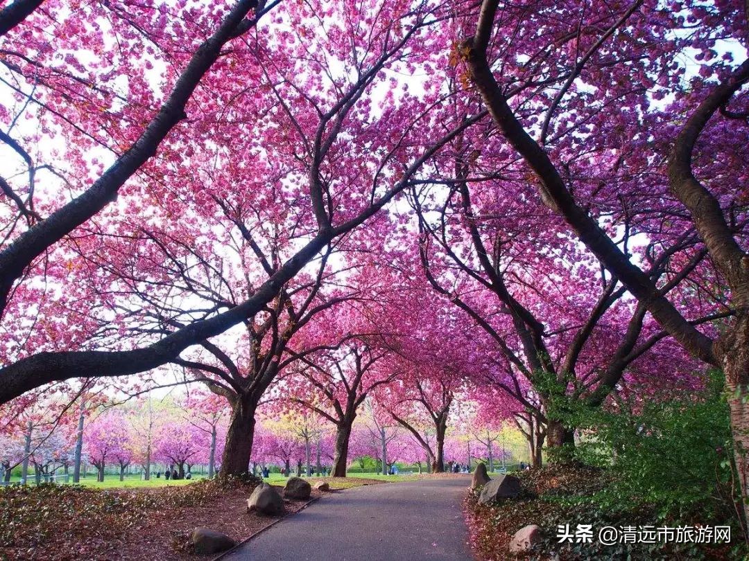 寒假亲子游推荐4-5天游,暑假亲子游玩地点推荐3天2夜