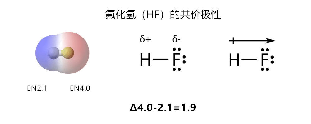 水和油不相溶的原理,油和水为什么不相溶简单讲解