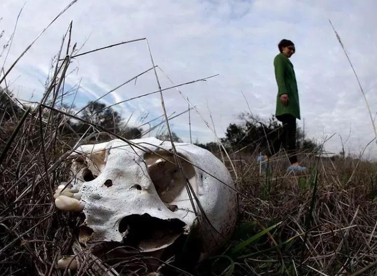 法医不动尸体也能猜测死因,法医检查尸体突然动了