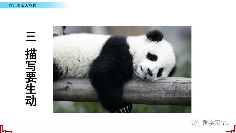 部编版三年级下册国宝大熊猫文章,三年级下文章国宝大熊猫写作指导