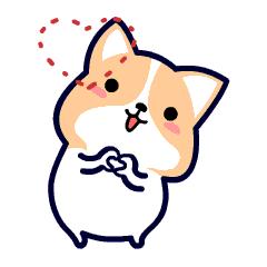 科普正确认识狂犬病,北京疾控中心预防狂犬病