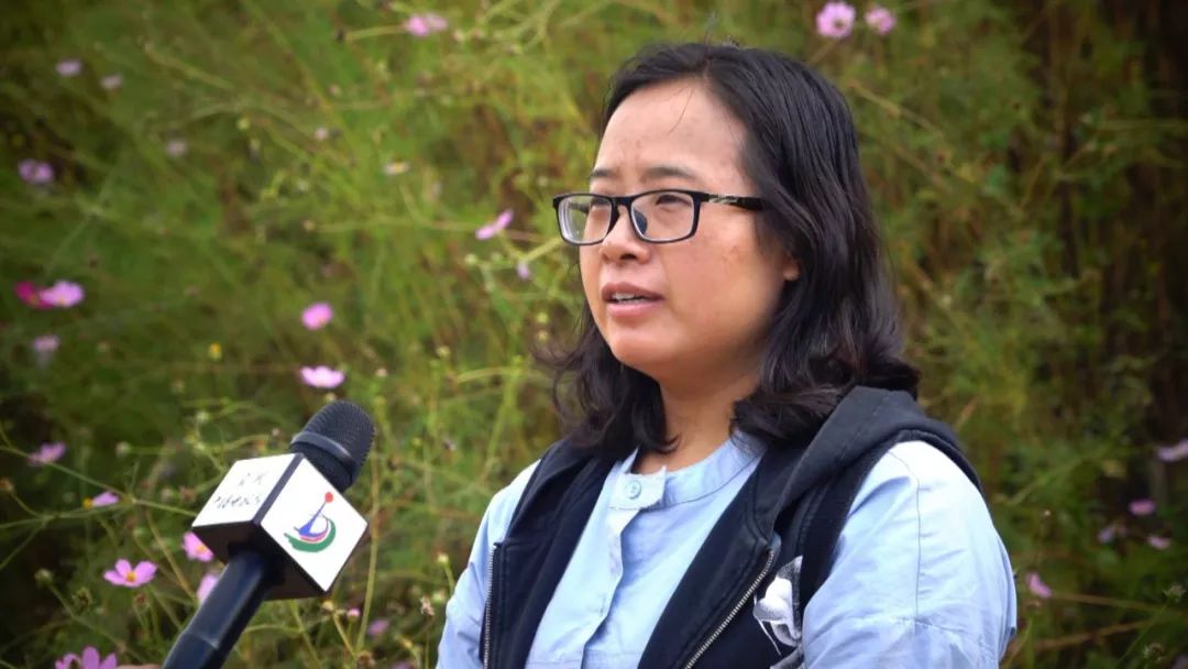 全面清理养殖网箱,水域取缔网箱养殖