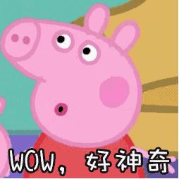 厦门公交e通卡优惠政策,厦门公交优惠活动app