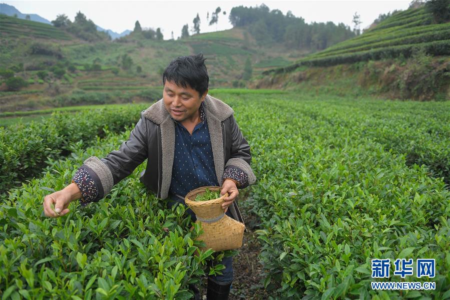 湘西脱贫攻坚乡村振兴,湘西州精准扶贫重要指示