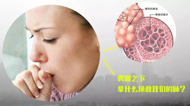 清肺神器,清肺散结神器