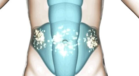 全网黑转粉，看曾经土肥圆如何逆袭碾压一种超模