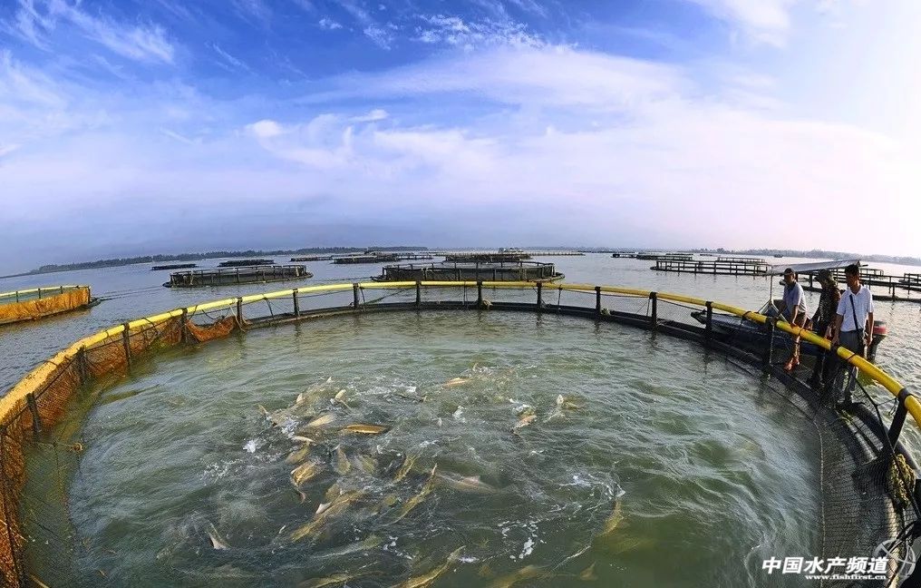 养殖产量和捕捞产量比例关系,养殖产量与经济效益密切相关