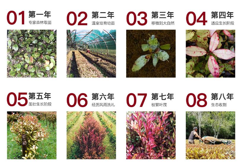 香港脚气最好的治疗方法,香港脚怎么彻底治愈