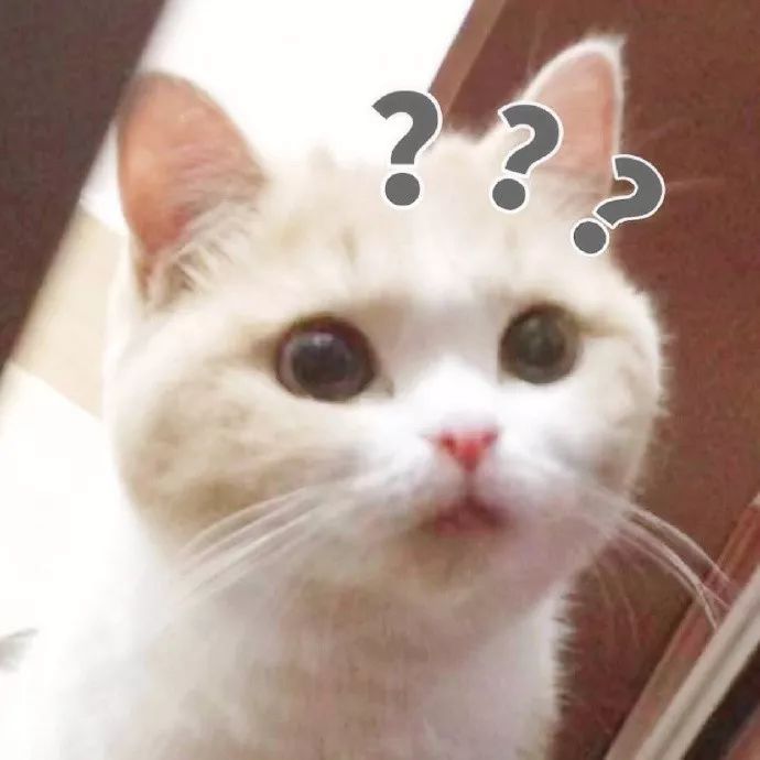 20天变白！这瓶国宝级神器居然只要几十元