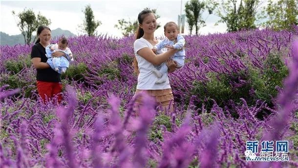 黔行40年贵阳篇,贵州贵阳黔行