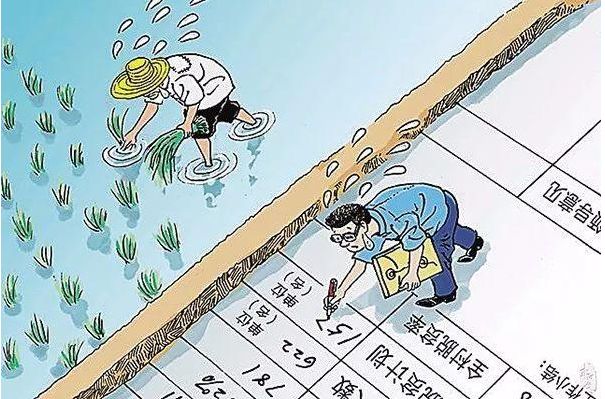 基层干部在脱贫攻坚的功能,党员在脱贫攻坚中发挥的功能