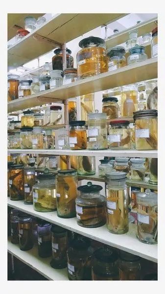 越南芽庄,越美芽庄是什么