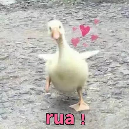 干到起皮用什么水乳,干起皮泛红用大牌水乳