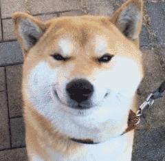 在南宁也能够“海淘”了，美妆奶粉等6.6折，即买即提