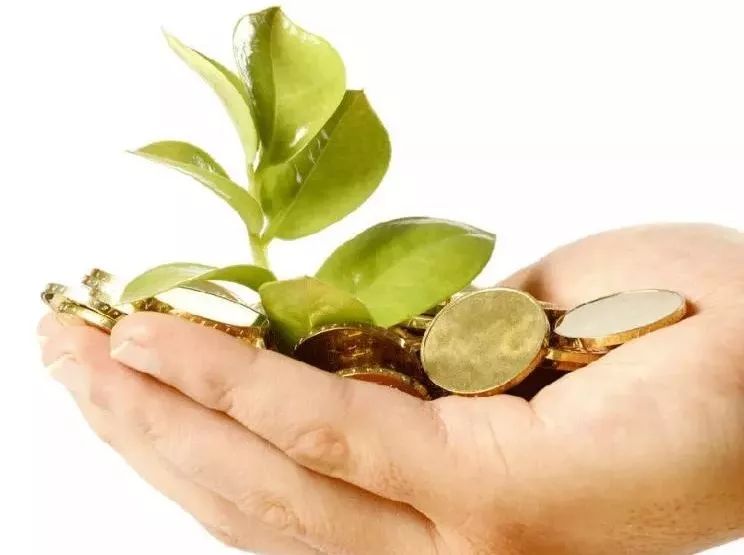 国内外农业众筹发展历程,农业众筹需要注意的事项