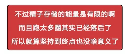 一直以为自己是跑得最快的那颗精子，原来并不是……