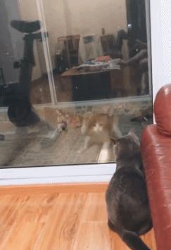 我的简历我的优势,我的简历优势怎么写