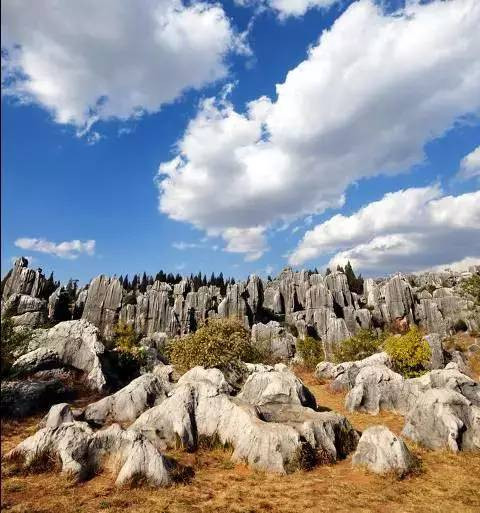 12月份从昆明到哪里机票最便宜,5月买便宜机票