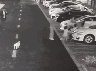 立冬天气湖北,湖北寒潮大雪