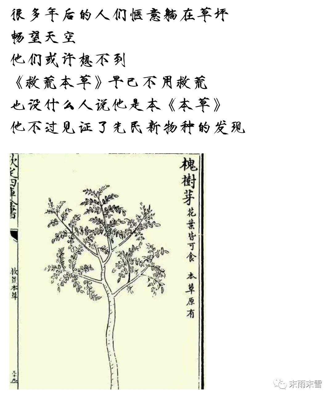 那些绝美的中药,那些你不知道的绝美中药